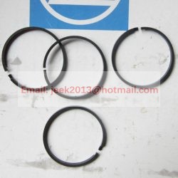 0634402025 PISTON RING FOR ZF 4WG200 6WG200 TRANSMISSION