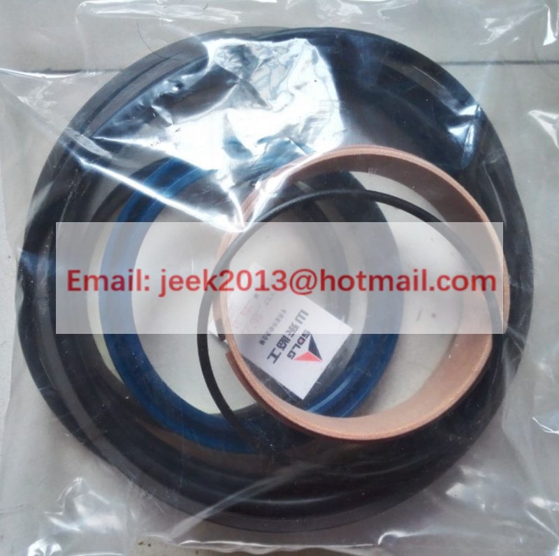 4120006001021 CYLINDER SEALING KIT FOR SDLG WHEEL LOADER