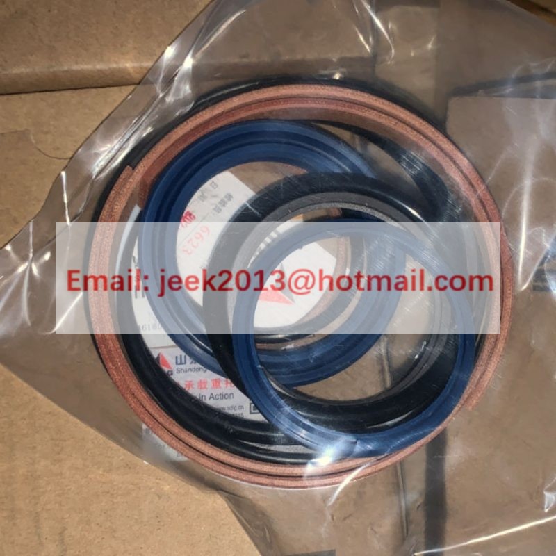 4120004762016 CYLINDER SEALING KIT APPLY FOR SDLG MOTOR GRADER