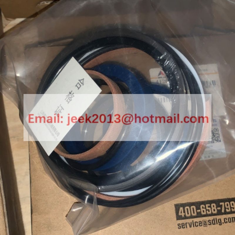 4120004762016 CYLINDER SEALING KIT APPLY FOR SDLG MOTOR GRADER