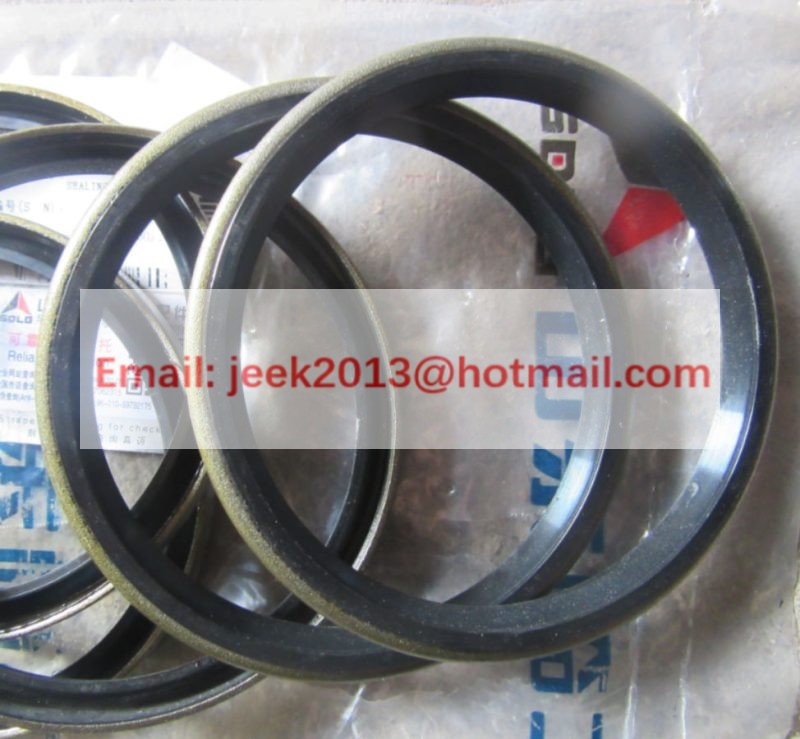 4120006611009 DUST SEALING RING FOR SDLG WHEEL LOADER