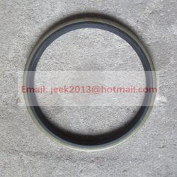 4043000058 SEALING RING FOR SDLG WHEEL LOADER