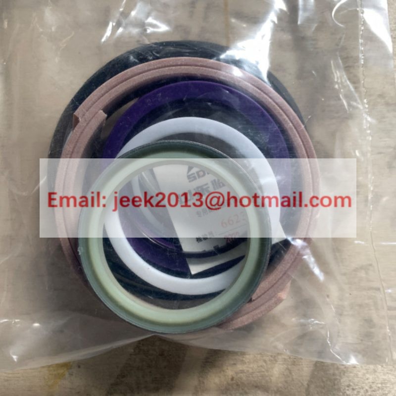 4120005995003 STEERING CYLINDER SEALING KIT FOR SDLG WHEEL LOADER