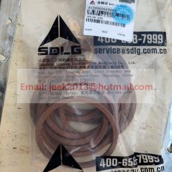 4120002669002 SEALING RING APPLY FOR SDLG WHEEL LOADER