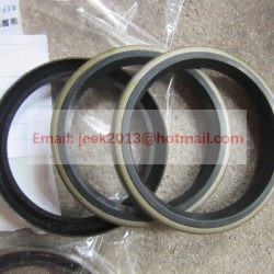 4120005998017 DUST SEALING RING FOR SDLG WHEEL LOADER