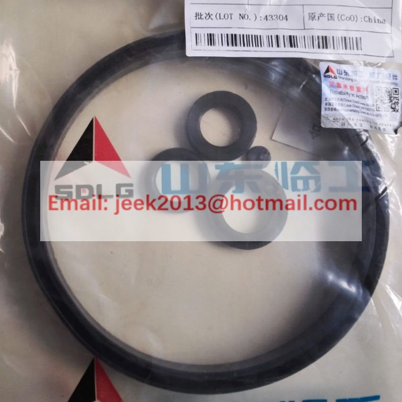 4120000675074 BOOSTER SEALING RING KIT FOR SDLG WHEEL LOADER