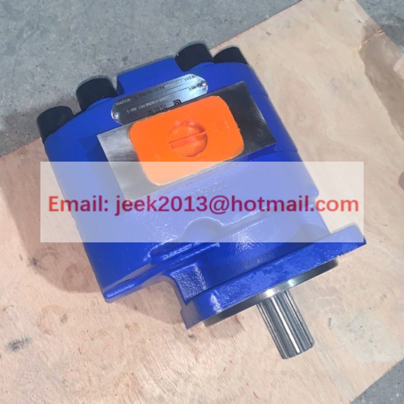 11W0020 GEAR MOTOR PUMP FOR LIUGONG CLG614 CLG616 ROAD ROLLER M7600-F80NK7676G-1