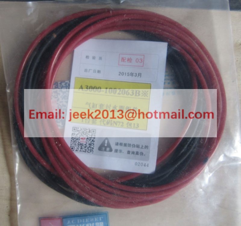 A3000-1002063 CYLINDER SEALING