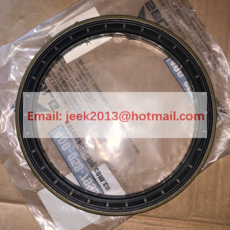 4110001922078 SEALING RING FOR SDLG B877F B876F BACKHOE LOADER