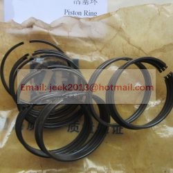 0734401106 PISTON RING