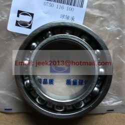 0750116100 BALL BEARING