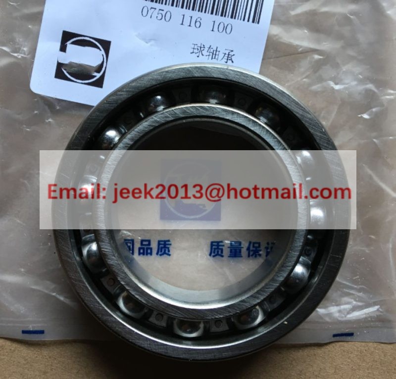 0750116100 BALL BEARING