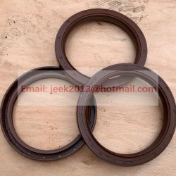 4030000789 SEALING RING