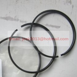 SP100223 PISTON RING