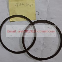 29050013841 RETAINING RING