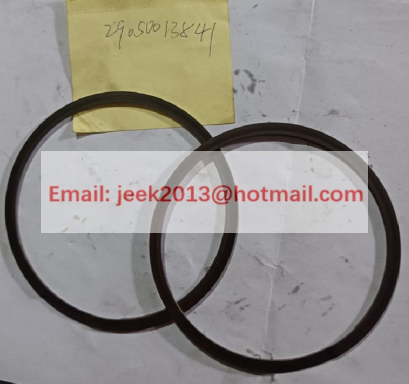 29050013841 RETAINING RING