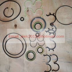 4120006298234 PUMP SEALING RING