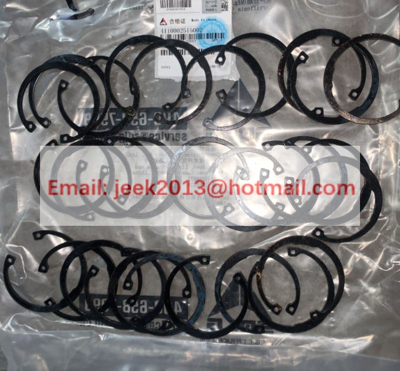 4110002515002 LOCK RING