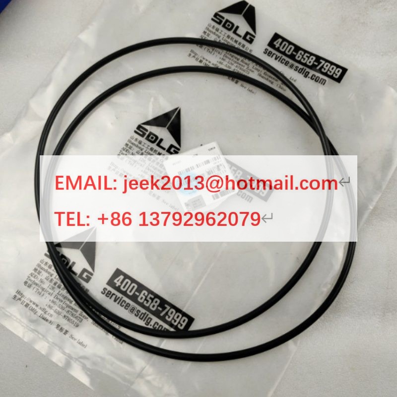 4110001903131 O-RING FOR SDLG MOTOR GRADER