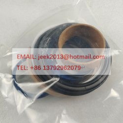 4120004767010 SEALING RING KIT APPLY FOR SDLG MOTOR GRADER