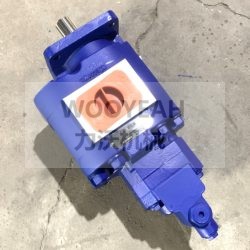 4120006320 1119442051 GEAR PUMP FOR SDLG WHEEL LOADER