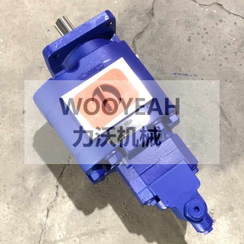 4120006320 1119442051 GEAR PUMP FOR SDLG WHEEL LOADER