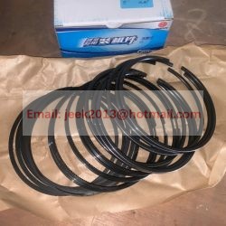 612700020061 PISTON RING SET FOR WEICHAI WP13 ENGINE