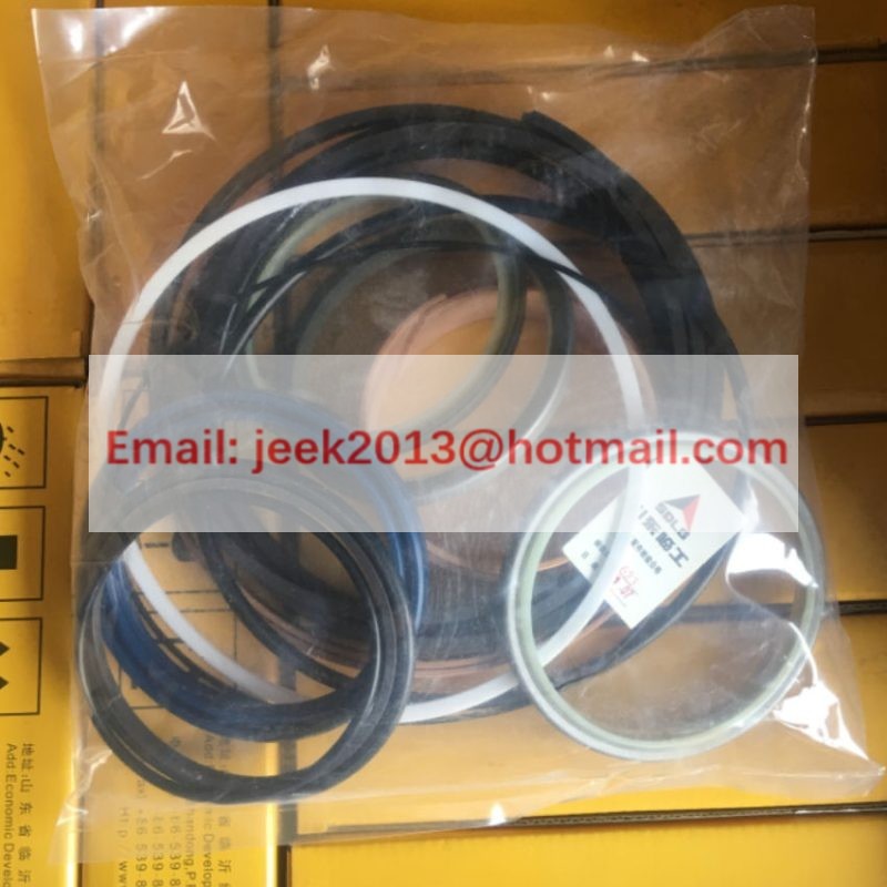 4120006611011 CYLINDER SEALING RING KIT FOR SDLG WHEEL LOADER