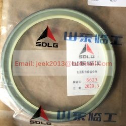 4120005999017 SEALING RING