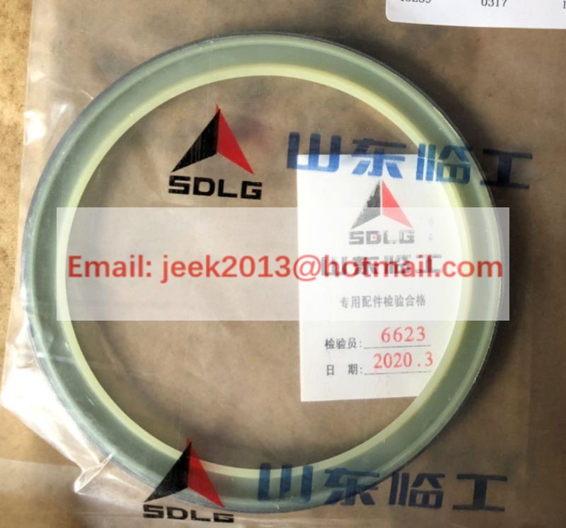 4120005999017 SEALING RING