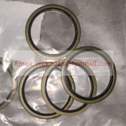 612600150106 SEAL RING FOR WD10 ENGINE