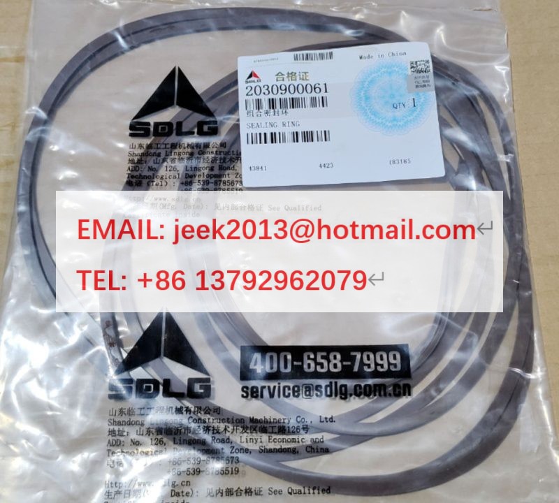 2030900061 SEAL RING KIT FOR SDLG WHEEL LOADER 3030900143 3030900163 3030900113