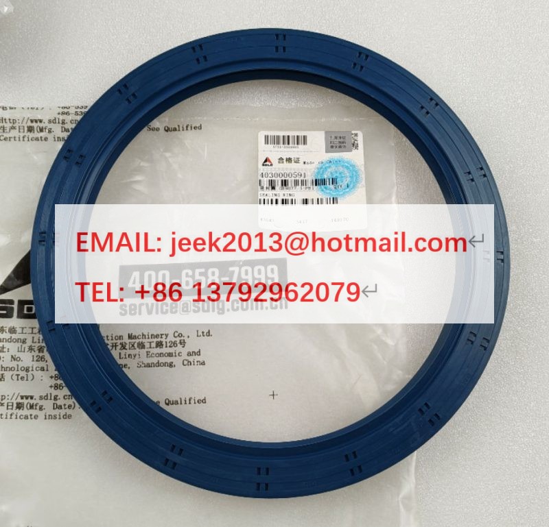 4030000591 OIL SEAL FOR SDLG WHEEL LOADER