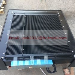 4110002233 RADIATOR ASSY FOR SDLG WHEEL LOADER