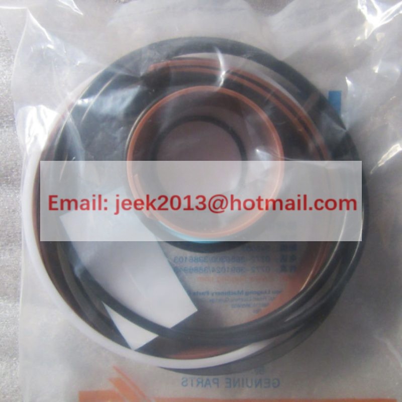 SP102907 TILIT CYLINDER SEAL KIT FOR LIUGONG CLG856 WHEEL LORDER