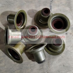 1000549569 VALVE SEAL FOR WEICHAI WP10 ENGINE