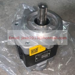 60300008325 GEAR PUMP FOR LONGKING FORKLIFT LGCBF034 30D-1208000