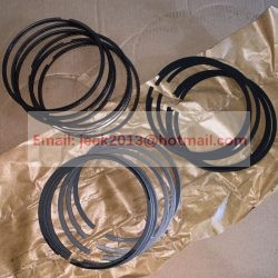 4110001841003 PISTON RING FOR SDLG WHEEL LOADER EXCAVATOR GRADER