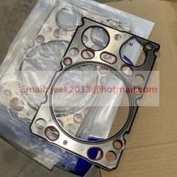 4110002244019 CYLINDER GASKET FOR SDLG WHEEL LOADER