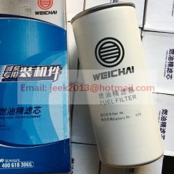 60100002976 FUEL FILTER FOR LONGKING