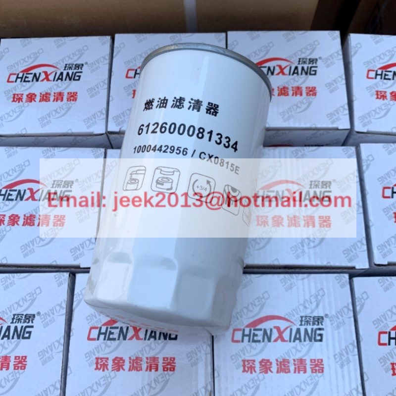 OEM FUEL FILTER CX0815E 1000442956 612600081334