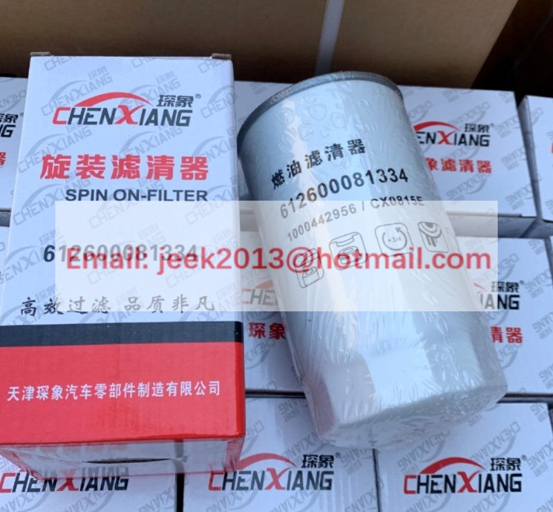 OEM FUEL FILTER CX0815E 1000442956 612600081334