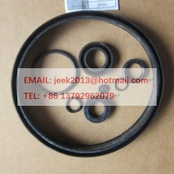 4120000090051 BOOSTER SEALING RING KIT FOR SDLG WHEEL LOADER