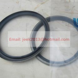 35C0004 DUST SEAL RING