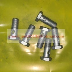 90003962621 HOLLOW BOLT