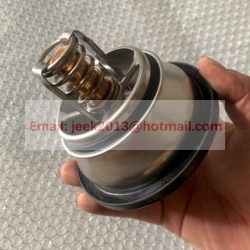4110003187002 THERMOSTAT