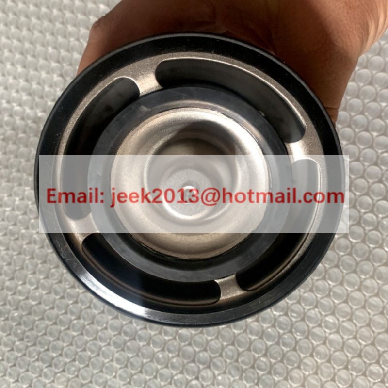 4110003187002 THERMOSTAT