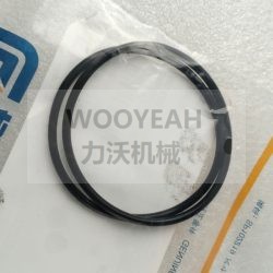 12V0453 SEAL RING FOR LIUGONG MOTOR GRADER