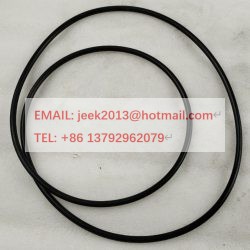 SP105580 O-Ring For LiuGong Motor Grader