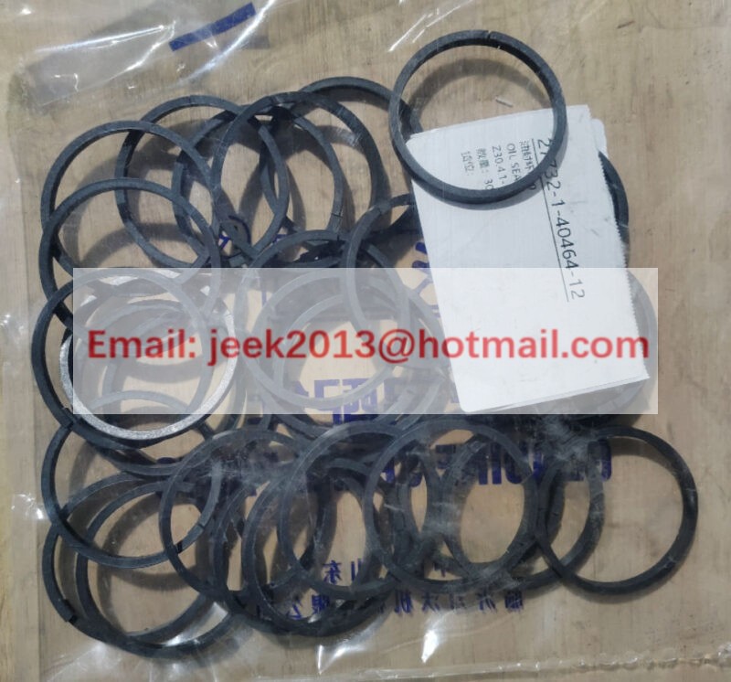 Z30.4.1-19 OIL SEAL RING FOR CHANGLIN WHEEL LOADER